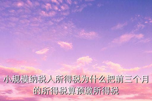 為什么會有預(yù)繳所得稅，我企業(yè)是今年1月被稅局核定按收入繳納企業(yè)所得稅 為什么第一季度報