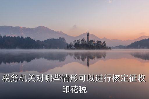 核定印花稅是什么意思，關(guān)于印花稅的核定比例