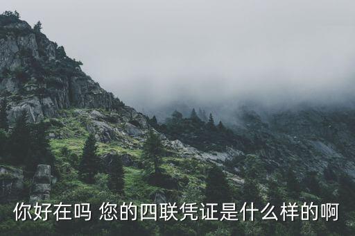 汽車四聯(lián)發(fā)票是什么樣，你好在嗎 您的四聯(lián)憑證是什么樣的啊