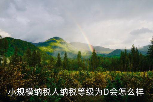 納稅等級(jí)d級(jí)有什么影響，納稅信用d級(jí) 對(duì)股權(quán)關(guān)聯(lián)法人不同的總子公司有影響嗎