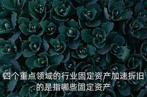 四個重點領域的行業(yè)固定資產加速折舊的是指哪些固定資產