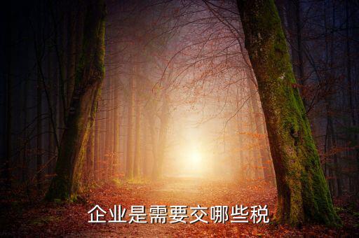 公司要交什么稅，企業(yè)是需要交哪些稅
