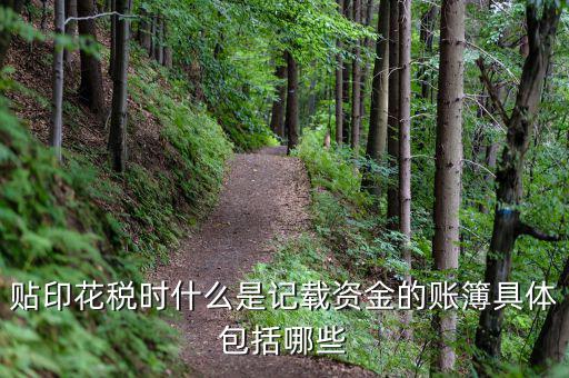 印花稅登記簿什么意思，貼印花稅時什么是記載資金的賬簿具體包括哪些