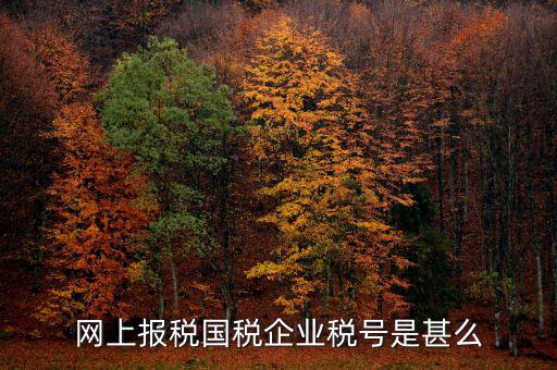 國稅稅務(wù)號是什么，國稅納稅號碼 是不是就是稅務(wù)通知書上那個(gè)納稅人識別號