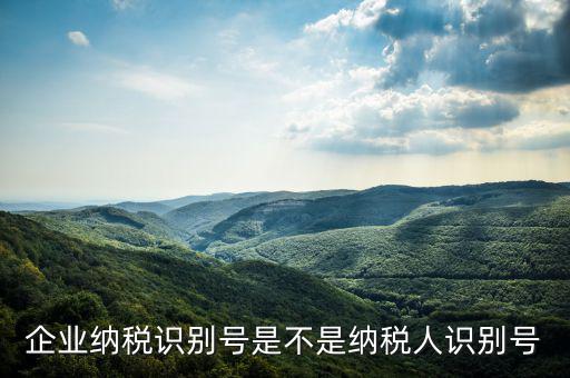 公司納稅識(shí)別號(hào)是什么，納稅人識(shí)別號(hào)是什么