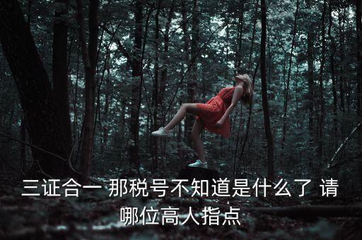 三證合一后的發(fā)票稅號是什么意思，三證合一 那稅號不知道是什么了 請哪位高人指點(diǎn)