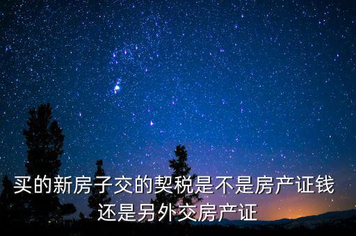 交了契稅的房子是什么產(chǎn)權，收契稅的房子是大產(chǎn)權還是小產(chǎn)權啊在線等