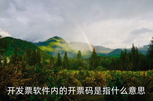 手工發(fā)票代碼什么意思，請問我發(fā)票代碼第8位9位分別是BK是什么意思