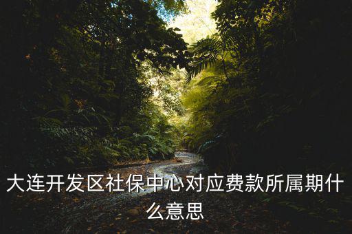 社保所屬期是什么意思，大連開發(fā)區(qū)社保中心對應(yīng)費款所屬期什么意思
