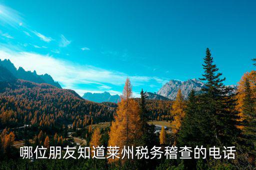 萊州地稅局在什么地方，萊州在什么地方