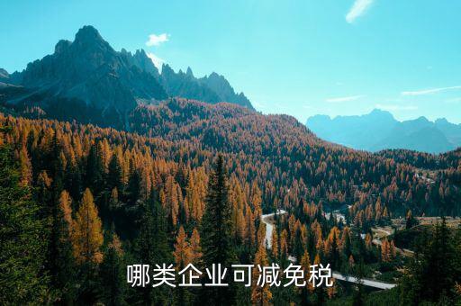 什么樣的企業(yè)免增值稅，哪些企業(yè)免征增值稅