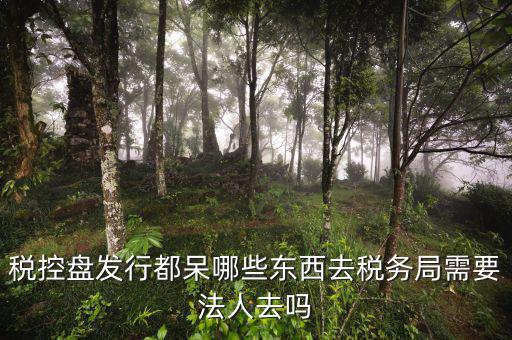 辦理稅控盤去什么地方，稅控盤發(fā)行都呆哪些東西去稅務局需要法人去嗎