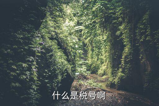 無證合一的稅號(hào)是什么意思，什么叫稅號(hào)