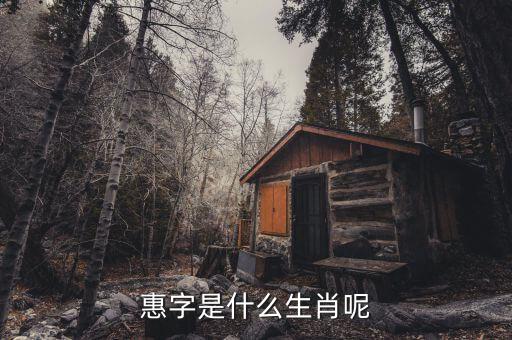 惠稅無憂的密碼是什么，自噴漆稅收商品編碼是多少