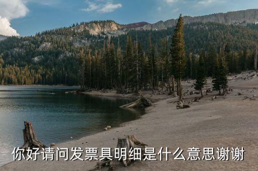 什么是個稅明細，個稅是什么是干嘛的詳細點哈