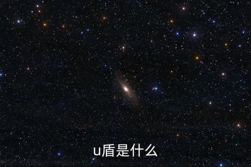 對外支付是什么，u盾是什么