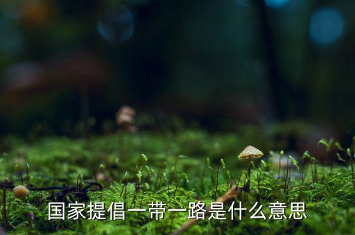 國稅一帶一路什么意思，一帶一路指什么意思