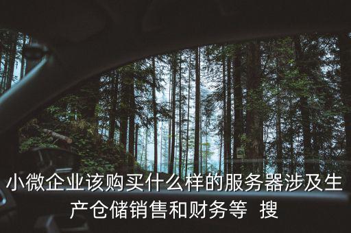 小微企業(yè)該購買什么樣的服務器涉及生產(chǎn)倉儲銷售和財務等  搜