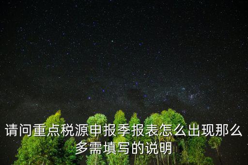 重點稅源申報要填什么，重點稅源申報表怎樣填
