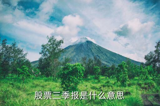 三期報(bào)表是什么意思，股票三季報(bào)是什么意思