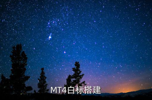 稅務(wù)系統(tǒng)為什么進行容災(zāi)建設(shè)，小微企業(yè)該購買什么樣的服務(wù)器涉及生產(chǎn)倉儲銷售和財務(wù)等  搜