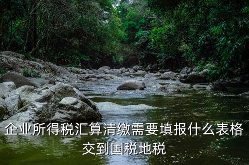 匯算清繳填寫什么表格，請教關于企業(yè)所得稅匯算清繳中需要填寫的表格的一些問題