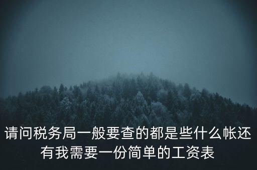 請(qǐng)問稅務(wù)局一般要查的都是些什么帳還有我需要一份簡單的工資表