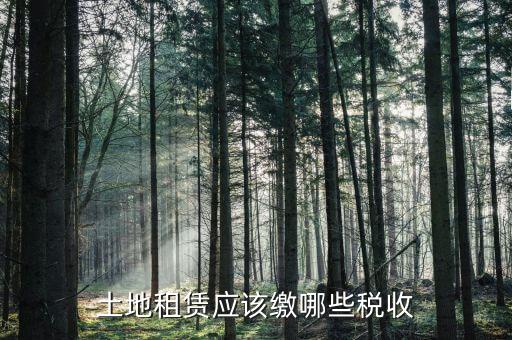單獨(dú)出租土地交什么稅，個(gè)人租用農(nóng)民土地交什么稅