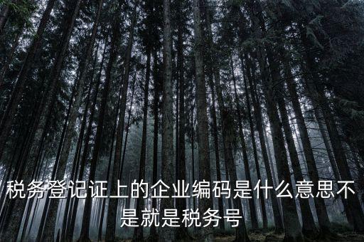 稅務(wù)編碼是什么意思，稅務(wù)登記證上的企業(yè)編碼是什么意思不是就是稅務(wù)號