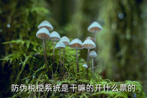 什么是稅控系統(tǒng)數(shù)據(jù)，金稅盤(pán)是什么