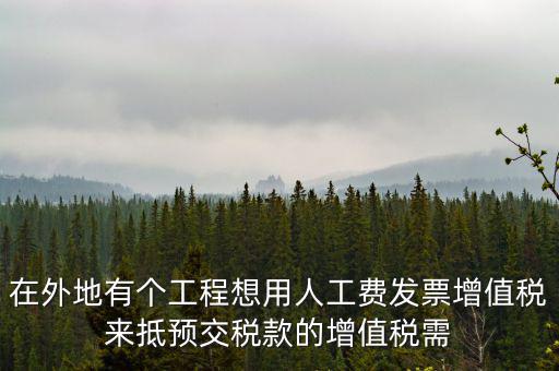 在外地有個工程想用人工費(fèi)發(fā)票增值稅來抵預(yù)交稅款的增值稅需