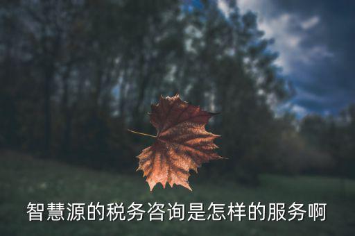 為什么叫智慧稅務呢，在聚會上聽說智慧源的稅務服務很好為什么啊