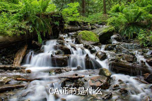 ca證書驅(qū)動(dòng)是什么意思，我電腦上安裝了其他電子證書的驅(qū)動(dòng)還能使用中國移動(dòng)的CA證書驅(qū)
