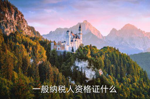什么是一般納稅人證明，一般納稅人資格證什么