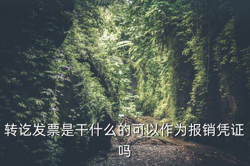 什么叫轉(zhuǎn)發(fā)票，我開(kāi)了一張農(nóng)村合作信用社的轉(zhuǎn)賬發(fā)票請(qǐng)問(wèn)什么是對(duì)應(yīng)發(fā)票