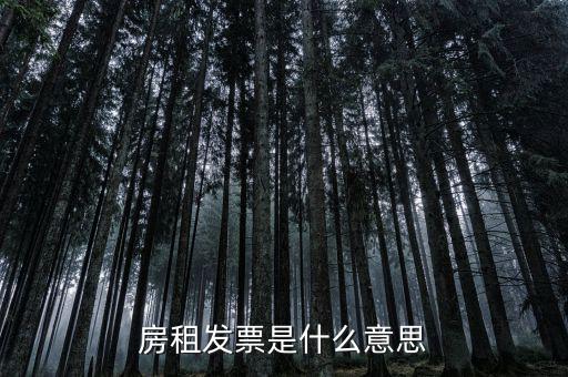 租賃協(xié)議和租金發(fā)票是什么意思，新辦企業(yè)地稅要租房協(xié)議開發(fā)票請問這是開什么發(fā)票啊