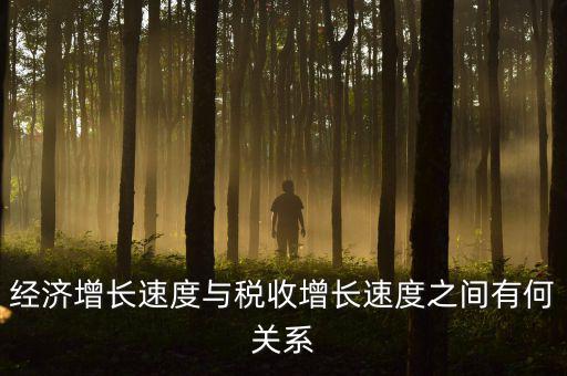 稅收增速是什么，經(jīng)濟(jì)增長(zhǎng)速度與稅收增長(zhǎng)速度之間有何關(guān)系
