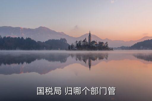 國(guó)稅直屬局管什么，國(guó)稅局 歸哪個(gè)部門管