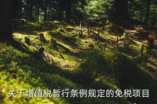 關于增值稅暫行條例規(guī)定的免稅項目