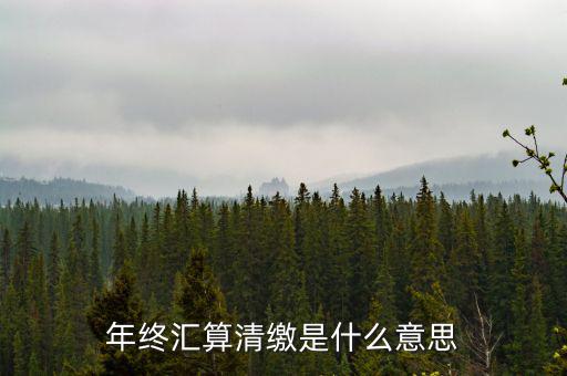 什么是企業(yè)匯算清繳，為什么年底要進(jìn)行企業(yè)所得匯算清繳