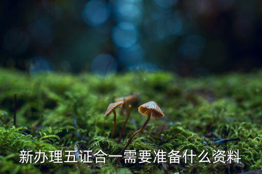 稅務(wù)五證合一需要什么資料，五證合一后稅務(wù)變更需要什么資料