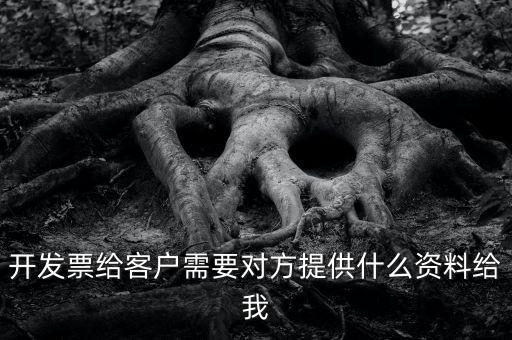 開票需要對方提供什么資料嗎，開發(fā)票給客戶需要對方提供什么資料給我