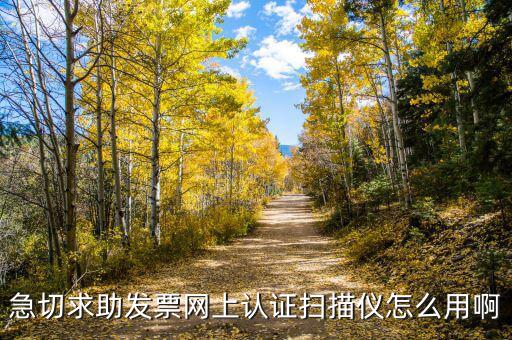 CA登陸可以開什么票，京東上什么可以開增值稅專用發(fā)票