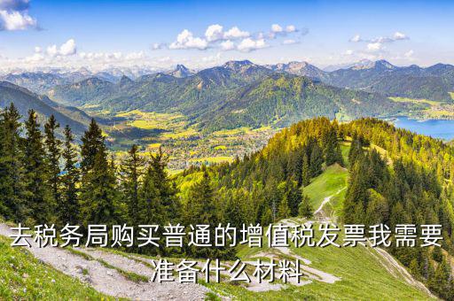 稅務(wù)局增加普票帶什么資料，杭州到稅務(wù)局窗口臨時(shí)增加普票的量需要準(zhǔn)備什么資料