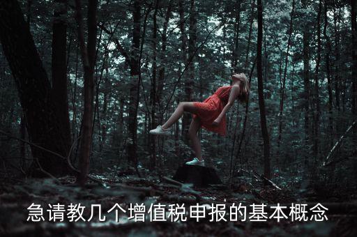 增值稅申報(bào)是什么意思，增值稅申報(bào)什么意思