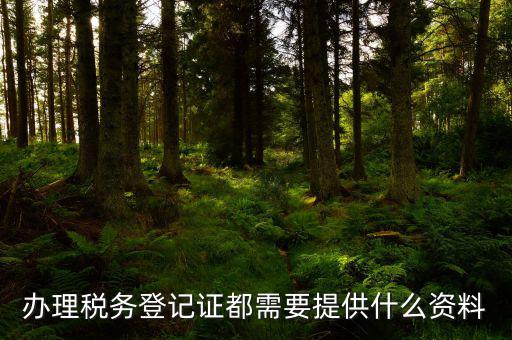 辦理稅務(wù)登記需要什么資料，辦理稅務(wù)登記證都需要提供什么資料