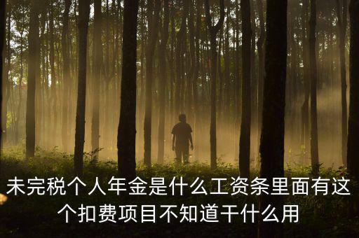 個(gè)稅年金是什么，未完稅個(gè)人年金是什么工資條里面有這個(gè)扣費(fèi)項(xiàng)目不知道干什么用