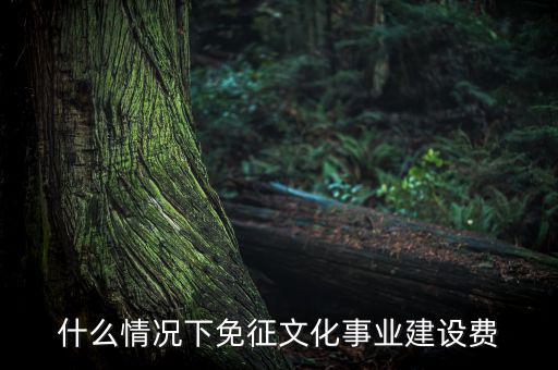 什么叫文化建設(shè)費，文化建設(shè)事業(yè)費