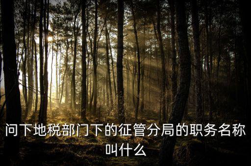問(wèn)下地稅部門(mén)下的征管分局的職務(wù)名稱(chēng)叫什么