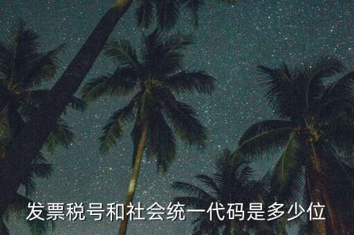 發(fā)票統(tǒng)一社會(huì)信用代碼是什么，現(xiàn)在開發(fā)票要的社會(huì)信用代碼是誰的代碼